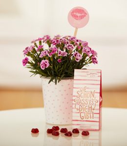 Mit dem Friendset Von Herzen mit Mininelke Pink Kisses® und Fruchtgummi-Herzen in Geschenkverpackung machst du deiner besten Freundin oder deine Mama ein tolles Geschenk, vielleicht auch zum Muttertag, und zeigst ihr, wie wichtig sie dir ist!