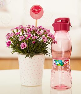 In dem Geschenk-Set "Care-Paket" ist eine Pink Kisses® im Kunststoff-Übertopf inklusive Friendstick und stylischer Trinkflasche enthaltenen Freundin, wie wichtig sie dir ist!