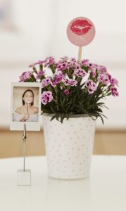 Pink kisses for you: personal Pink Kisses greetings with an instant selfie photo