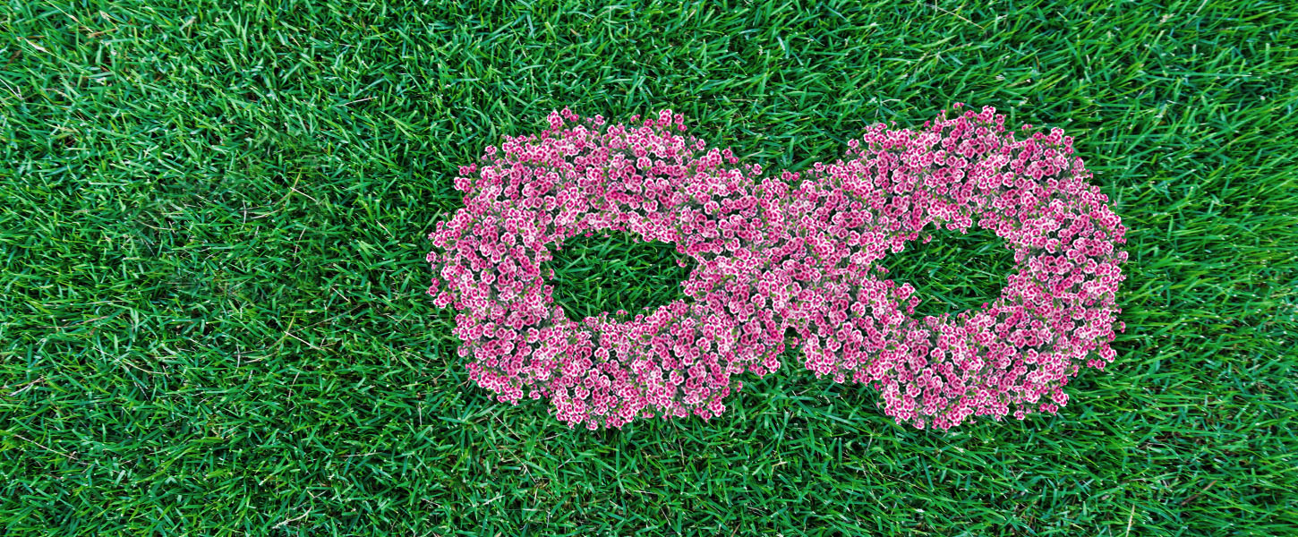 grenzenlose Freundschaft symbolisiert durch ein Unendlichkeitszeichen aus Pink Kisses-Blüten auf Gras