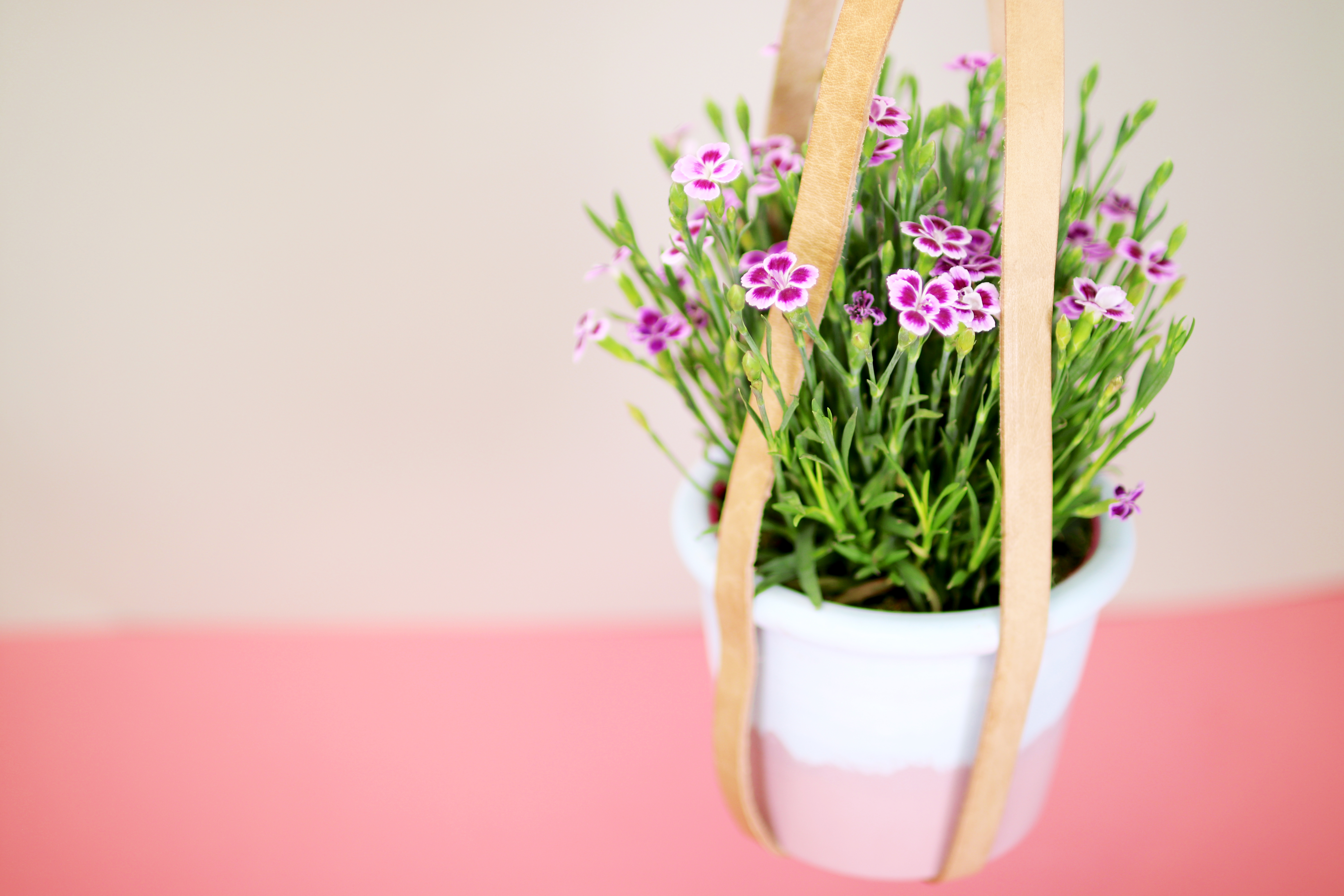 Blumenampel mit Lederriemen: Ein DIY von Pink Kisses
