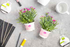 Material für das DIY-Blumengeschenk in der Tasse von Pink Kisses